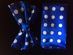 Blue & White Polka Dot Bow Tie